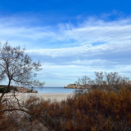 Disfruta Del Paraiso Сон Парк Екстериор снимка